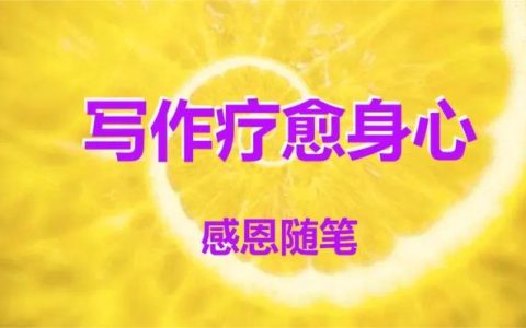 感恩的心作文600字（感恩的心作文600字初中记叙文）