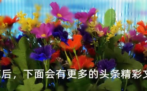 元宵节作文结尾佳句长一点（元宵节作文500字作文六年级）