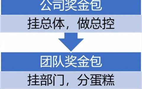 项目奖金分配方案范文（项目奖金分配方案基本思路）