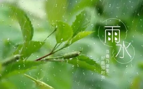 写雨的作文结尾（写雨的作文500字）