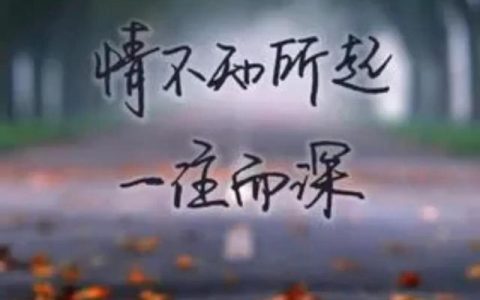 作家关于亲情的文章（有关亲情的文章作者和名字）