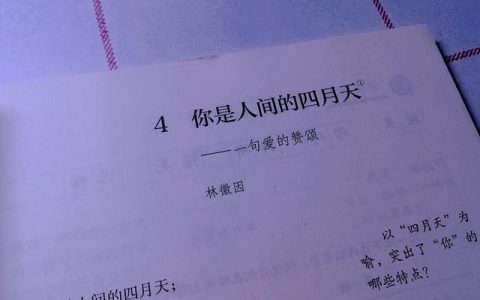 语文教学工作总结小学三年级上册2021年（小学语文教学工作总结个人三年级）