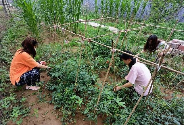 致雷锋（献礼建团百年 _ 这封穿越时空的信，请您听我说……）