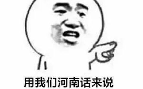 河南话的翻译（河南话 经典 方言翻译）