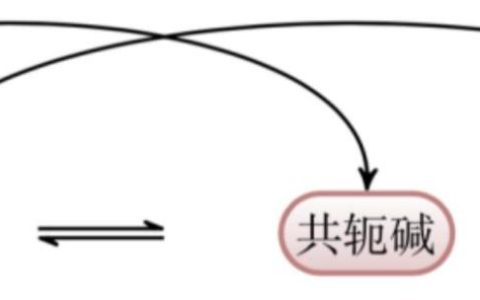 分析化学课件 网盘（分析化学课件ppt）