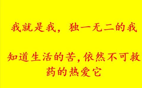 自我介绍的作文300字左右，介绍自己的作文400字左右