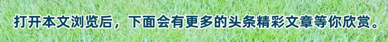 最难忘的一件事600字作文，最难忘的一件事600字作文初中