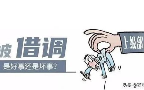 教师借调申请书范文大全，教师借调申请书范文模板